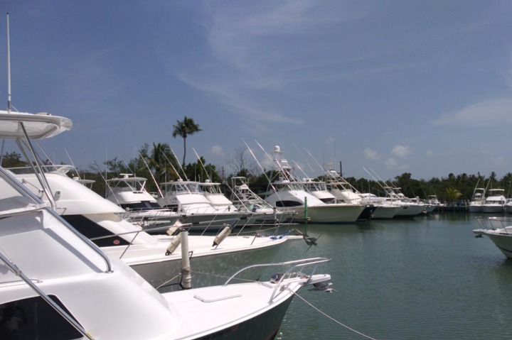 marina